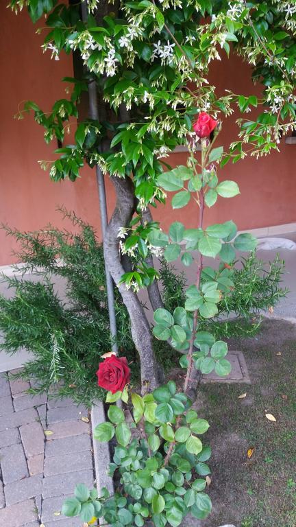 Dreon B&B Portogruaro Luaran gambar