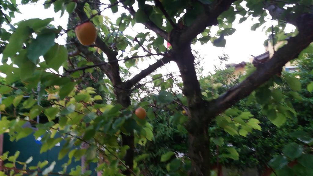 Dreon B&B Portogruaro Luaran gambar